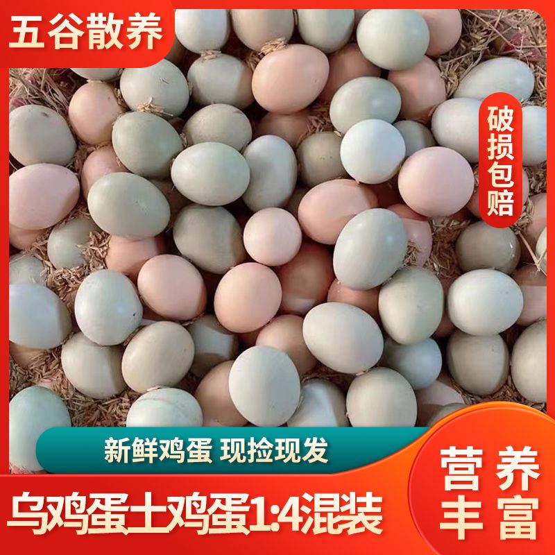 【混合装】散养新鲜土鸡蛋鲜忆佰佳绿壳乌鸡蛋农家批笨鸡蛋农家散养