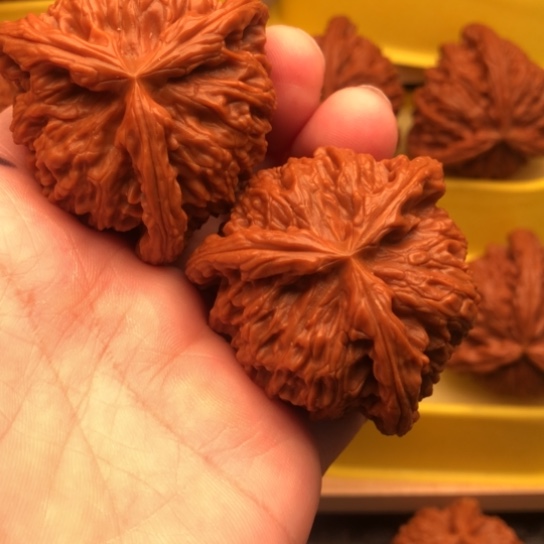 迷***童核桃核桃核桃咯核桃