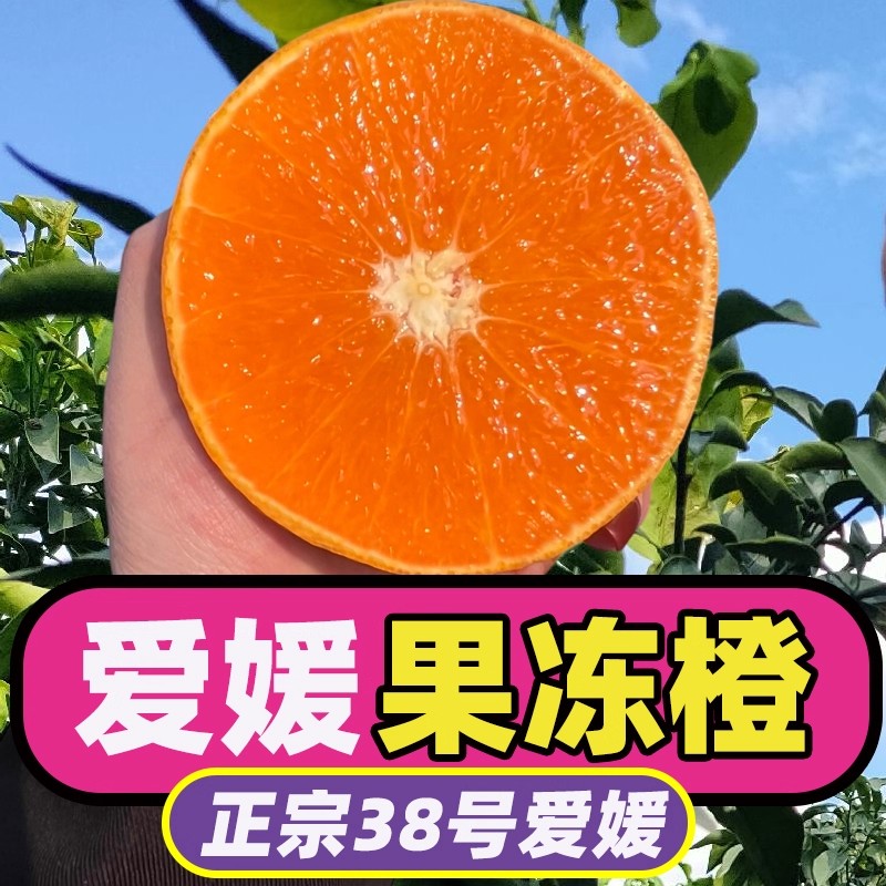 【25年鲜果上市】正宗四川眉山爱媛果冻橙新鲜应季水果手拨橙子