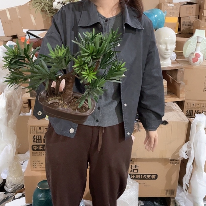 陶瓷花瓶，仿真绿植。