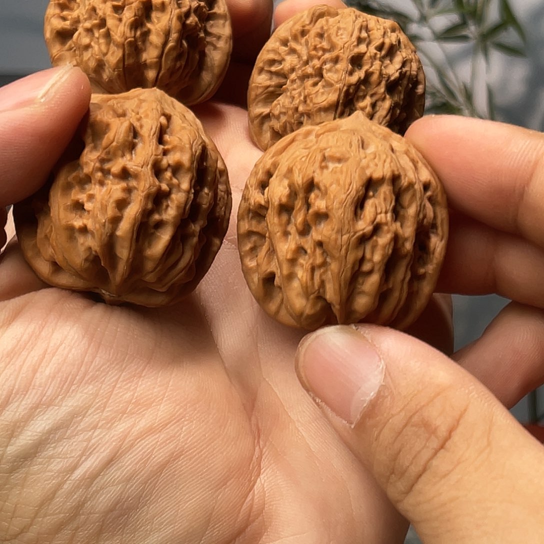 人***众文玩核桃把件马老四  火凤凰
