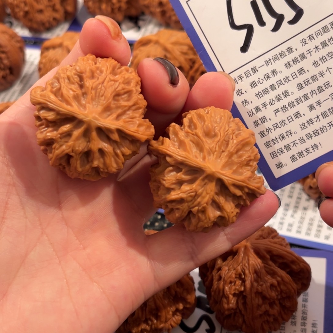 核桃S155号苹果园40尺