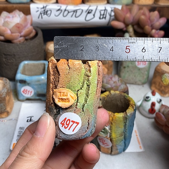 红陶拍5送一个小