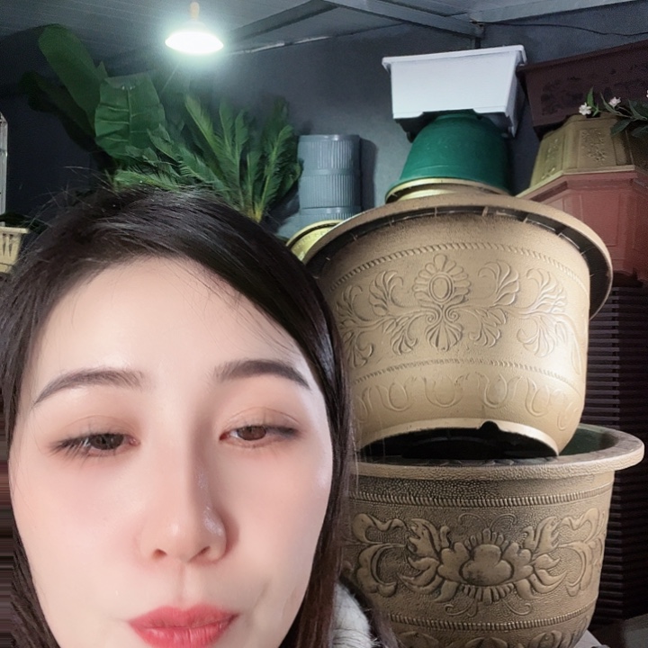 圆70口径花盆两个