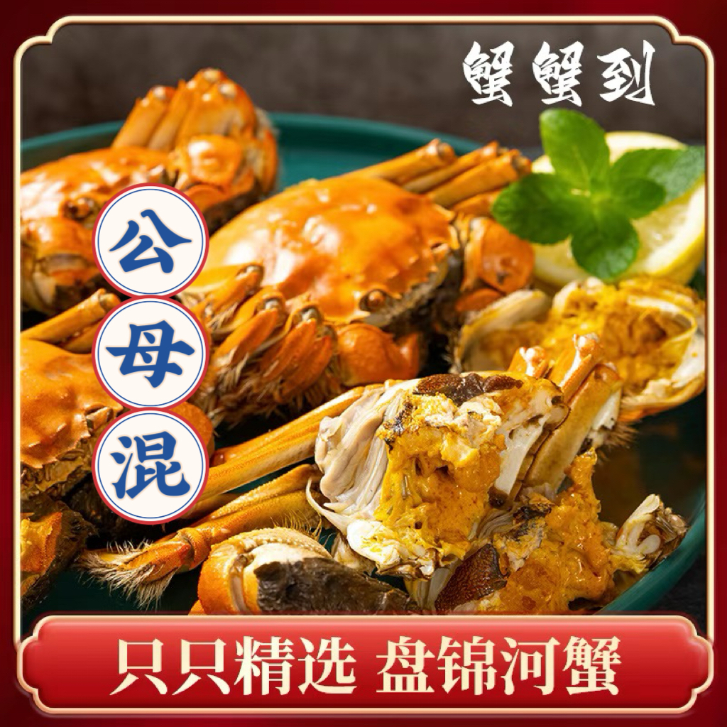 活蟹盘锦河蟹公母混装 母蟹8只1.6-1.4两 + 公蟹8只2.0-1.8两