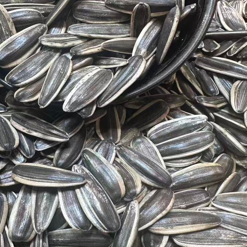 2斤农家柴火炒瓜子