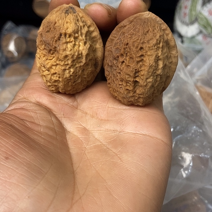 文玩核桃把件云南铁核桃基地22