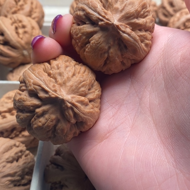 用***9文玩核桃吊坠霸王龙