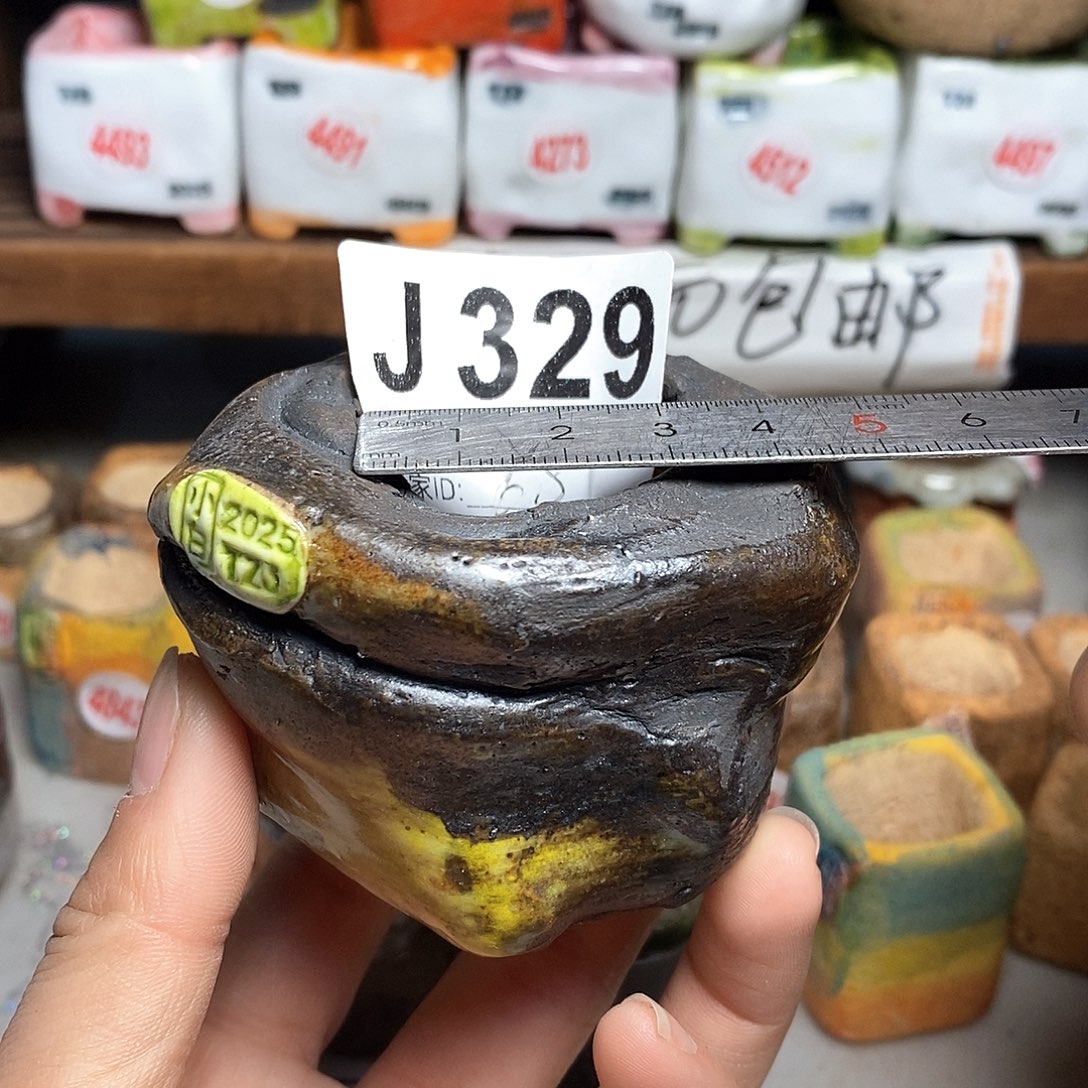 红陶拍5送一个小