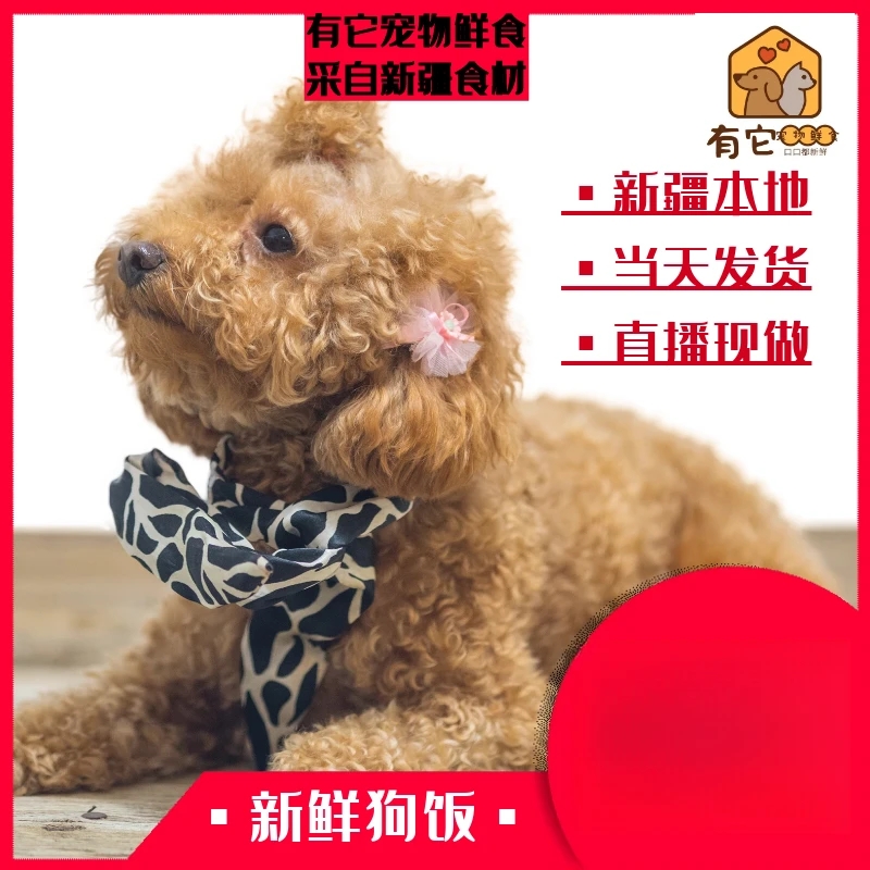 新疆有它宠物鲜食大礼包（狗狗）
