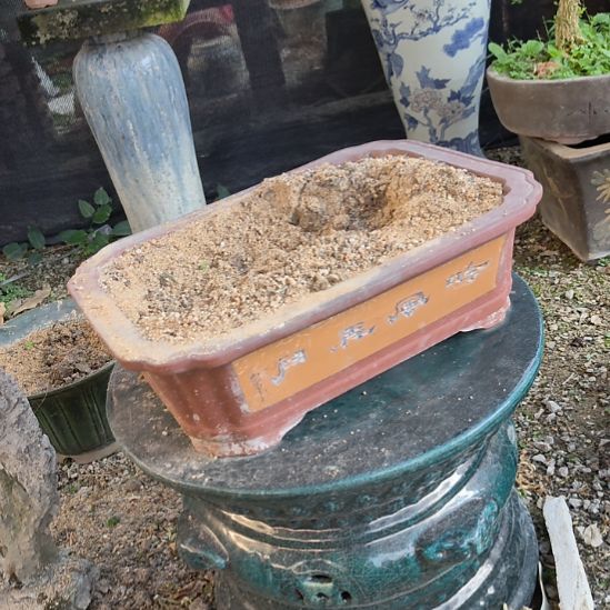 宗***影紫砂花盆两个包邮