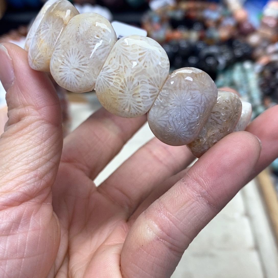 硅化珊瑚（珊瑚玉）手链未镶嵌我***肉288