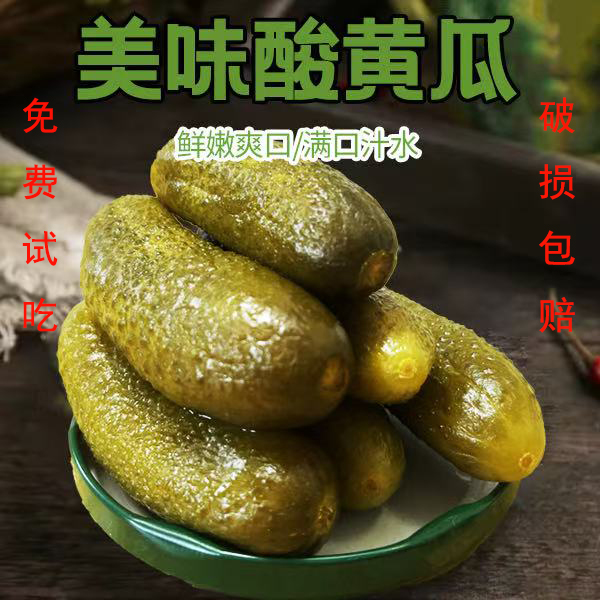 俄式酸黄瓜腌制正宗酸黄瓜开胃咸菜下饭可口罐装腌黄瓜小青瓜罐头