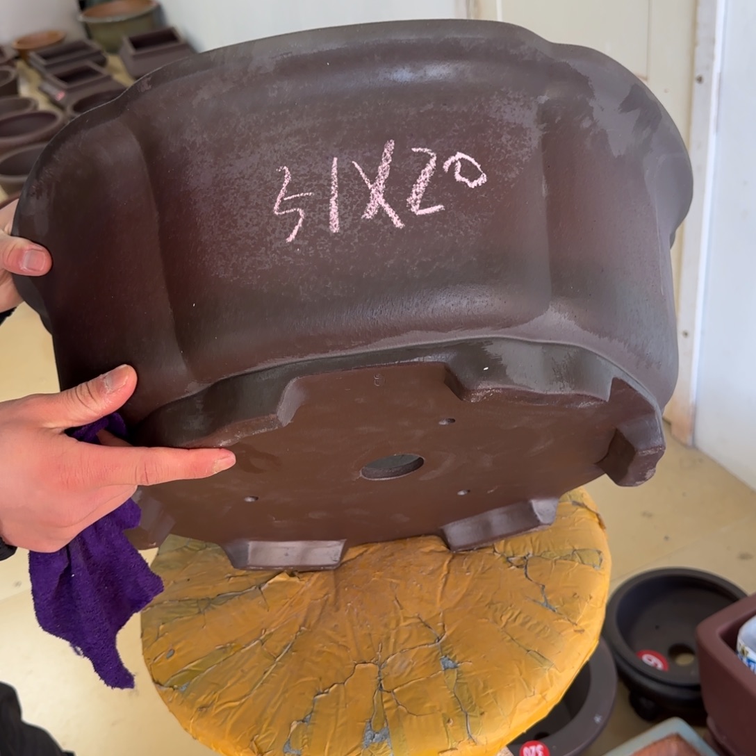 紫砂花盆呜呜呜呜