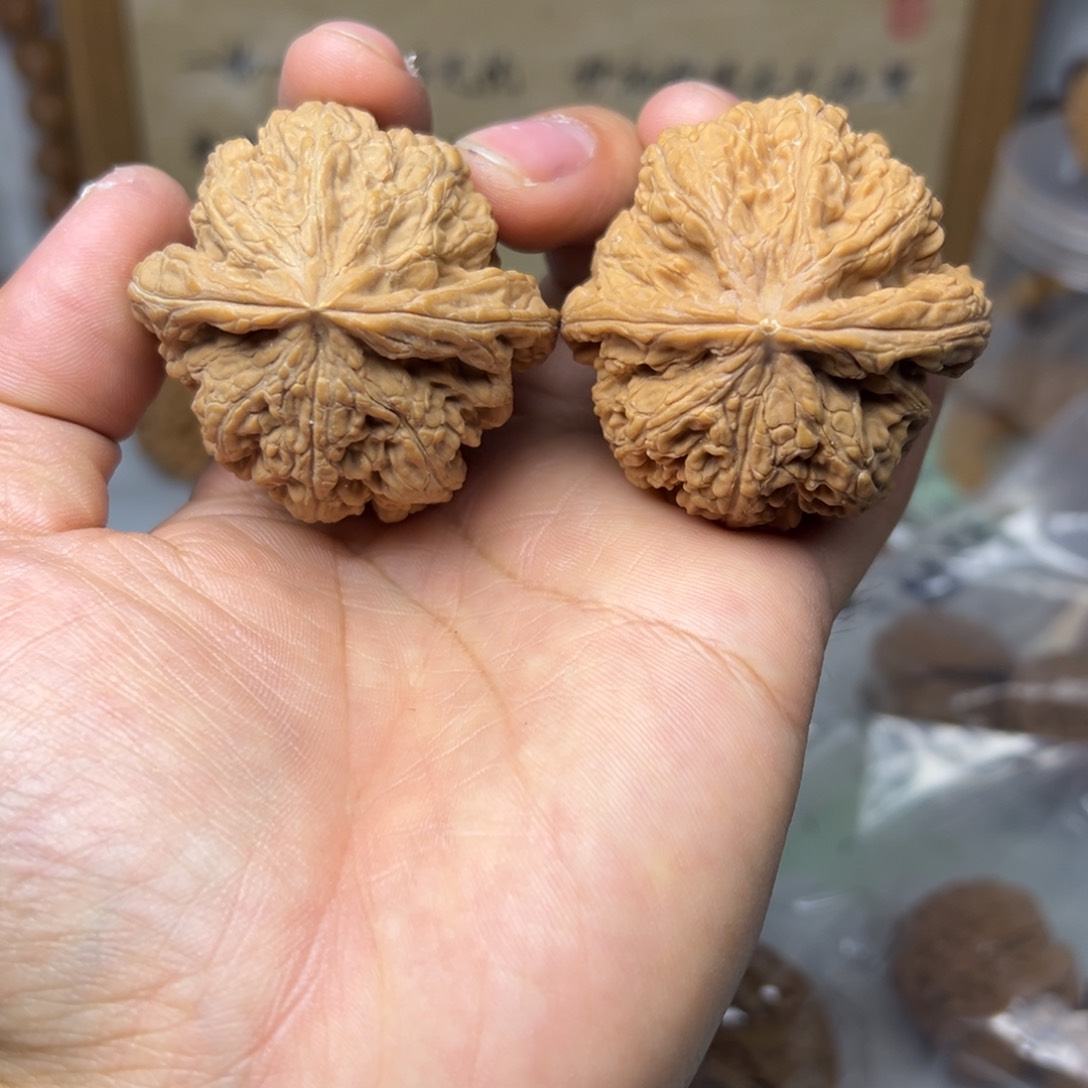 10号文玩核桃47尺粗筋