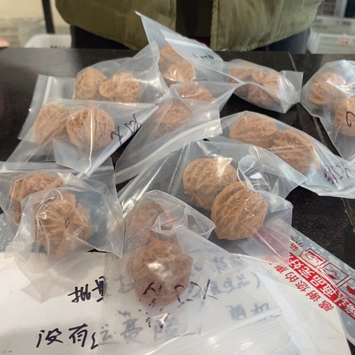 吊坠文玩核桃灯笼