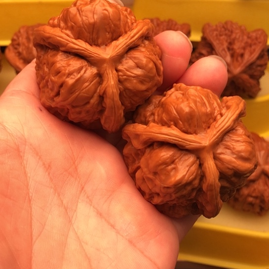 尔***滨核桃核桃核桃核桃核桃