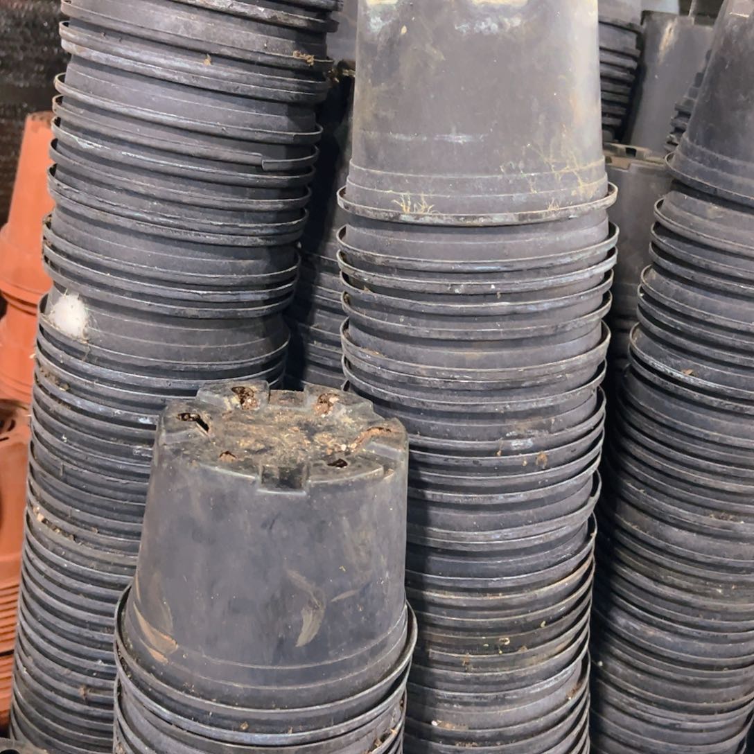 塑料黑加伦磨砂盆15.5口径12高 10个