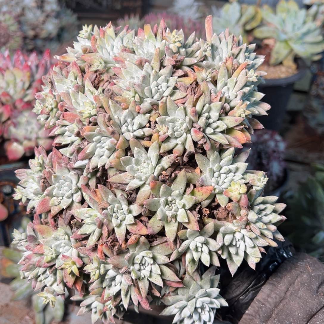 8933哈哈哈哈哈哈哈哈