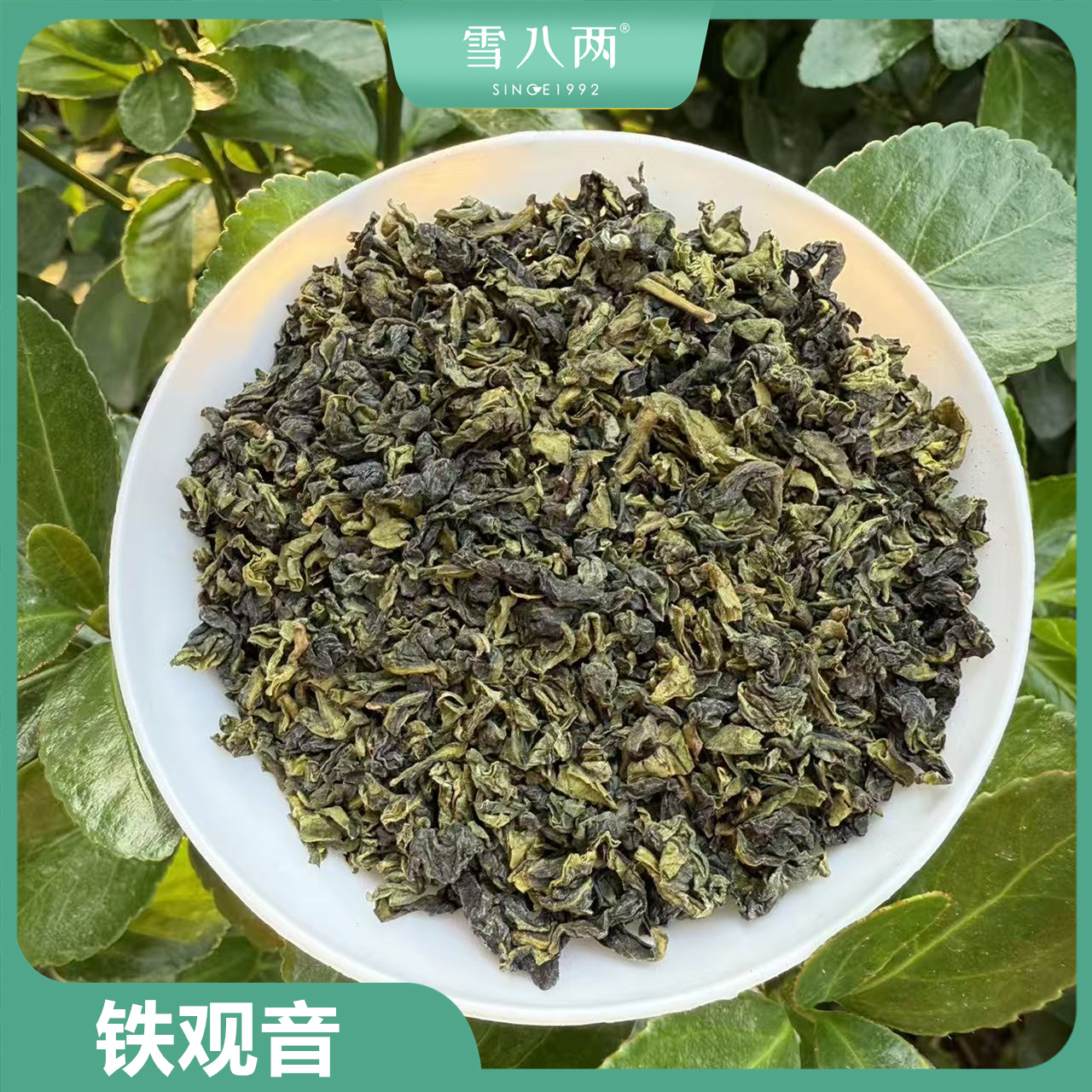 雪八两 铁观音 2025早秋正味 只卖超值的 传统工艺 乌龙茶 100克