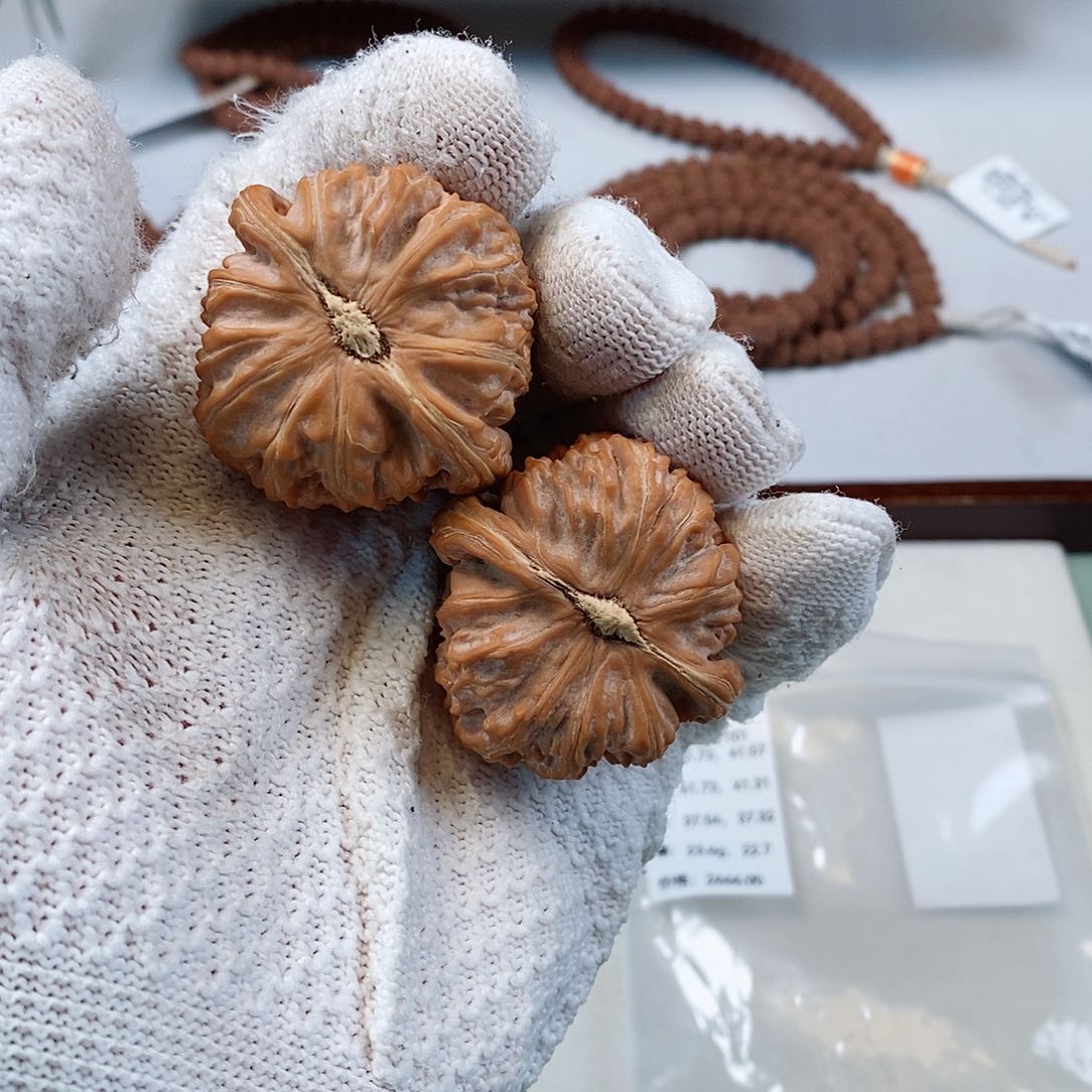 金刚菩提手串w****9三角白