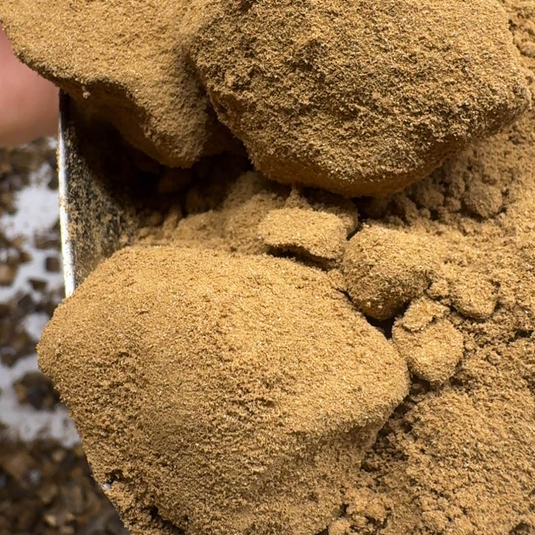 香料奇楠沉香白奇粉100克