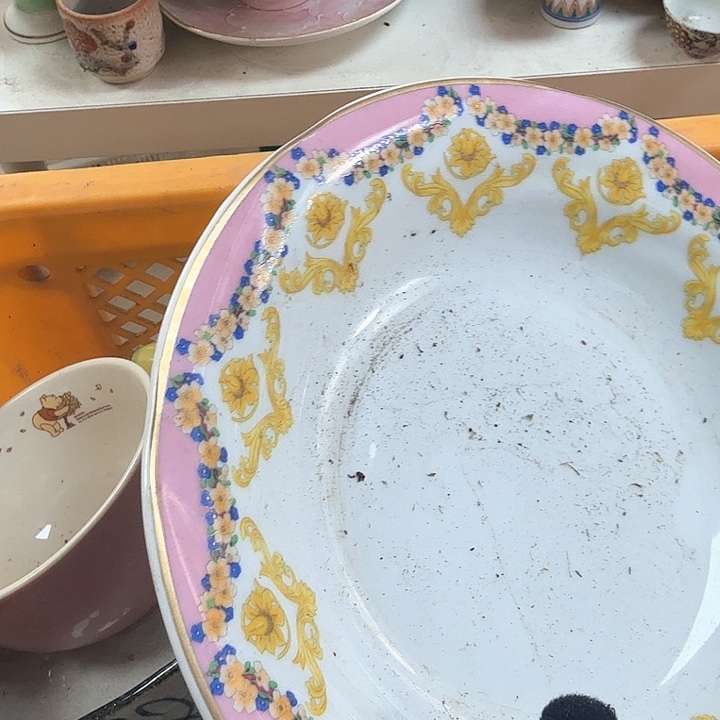 碗开播啦…开播啦