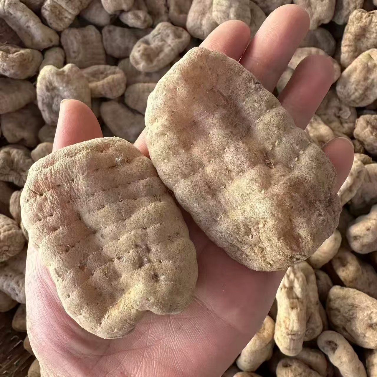 云南昭通无硫干乌天麻纯正品营养煲汤佳品