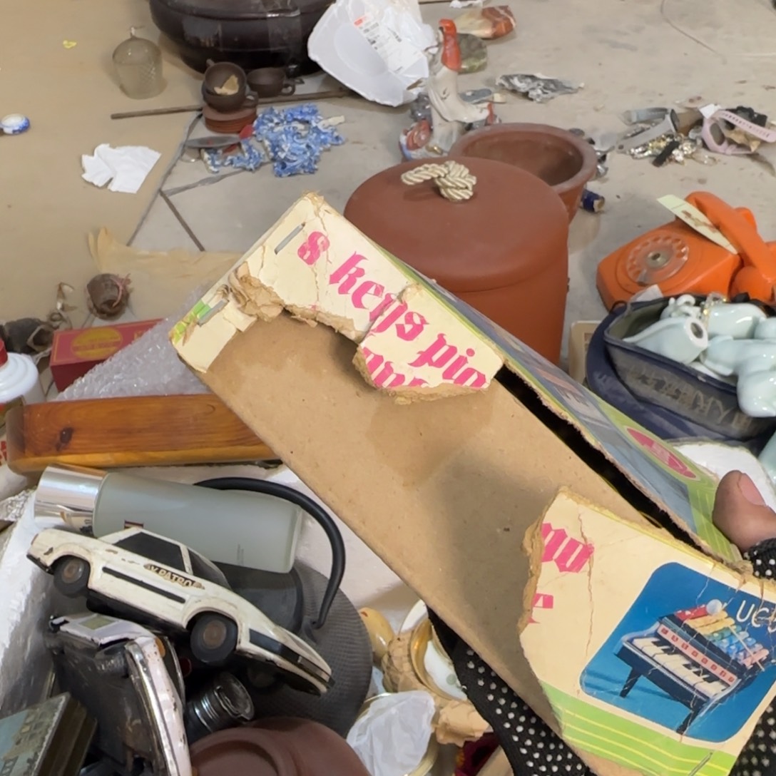 她***话杂色豆（科檀/科特迪瓦檀木）