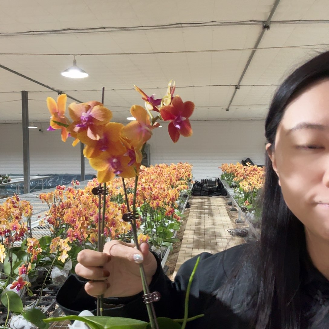 完全开放2.8 3.0福利香恋博格丽两颗