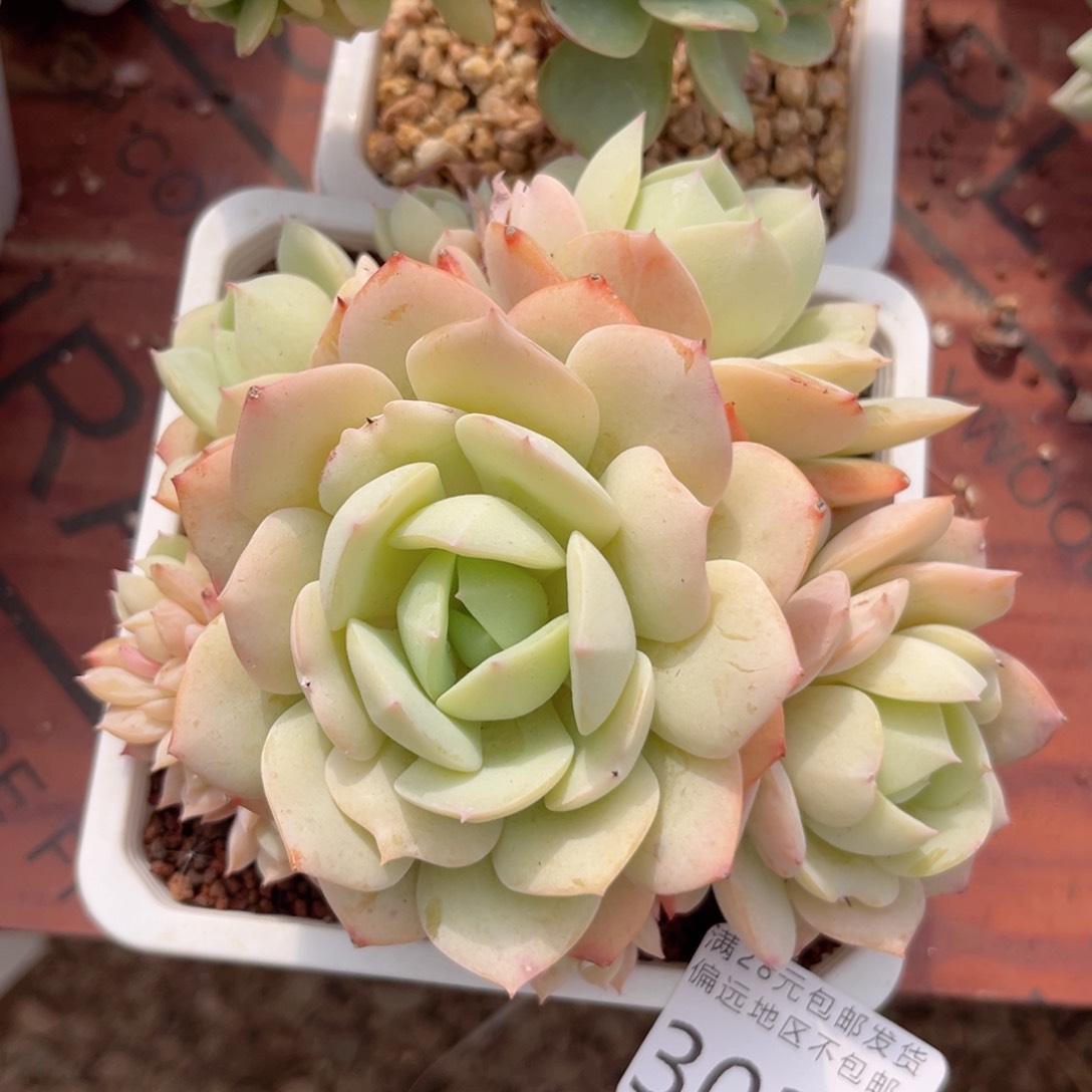 大3032、cv v vvv