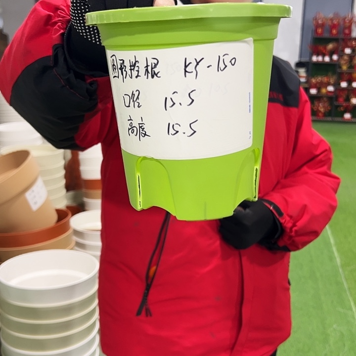 正品元控口15高15果绿色10只无托