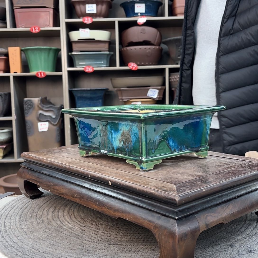 紫砂花盆王***?紫砂的花也太