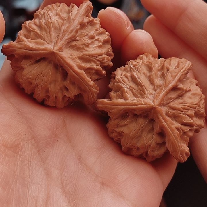 核桃40尺盘山三棱