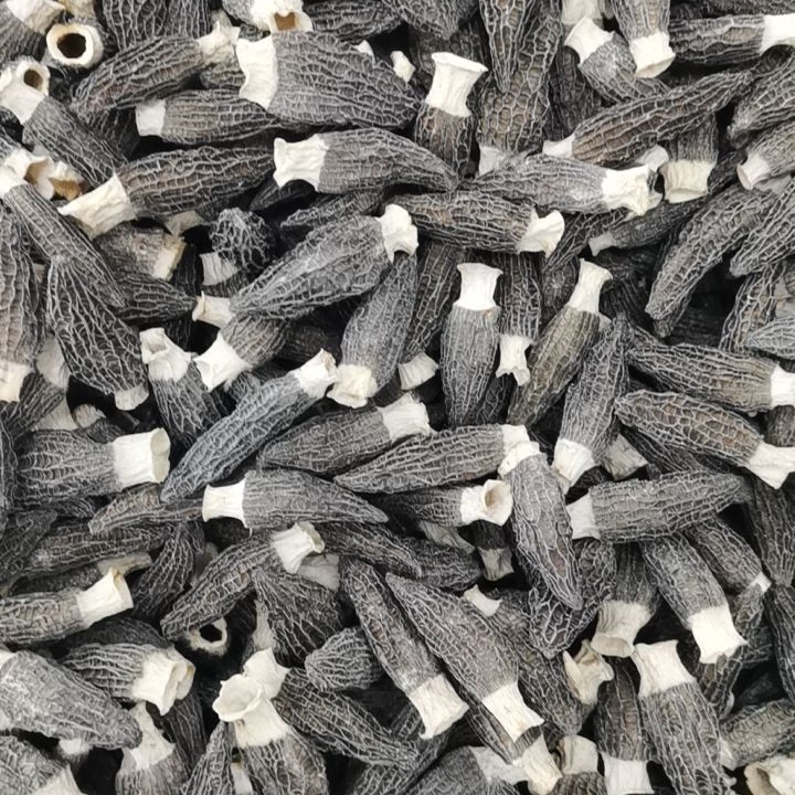 羊肚菌干货头茬六妹肉厚煲汤佳品鲜美菌菇