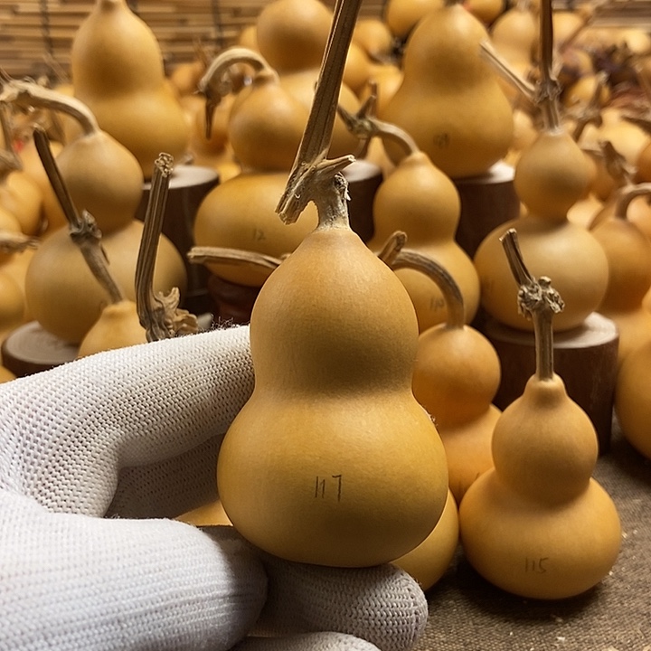 文玩葫芦 完美主义者 慎拍117