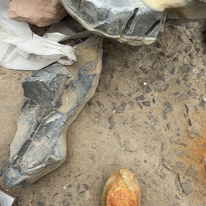 瑞***飞石材龟纹石最低哥