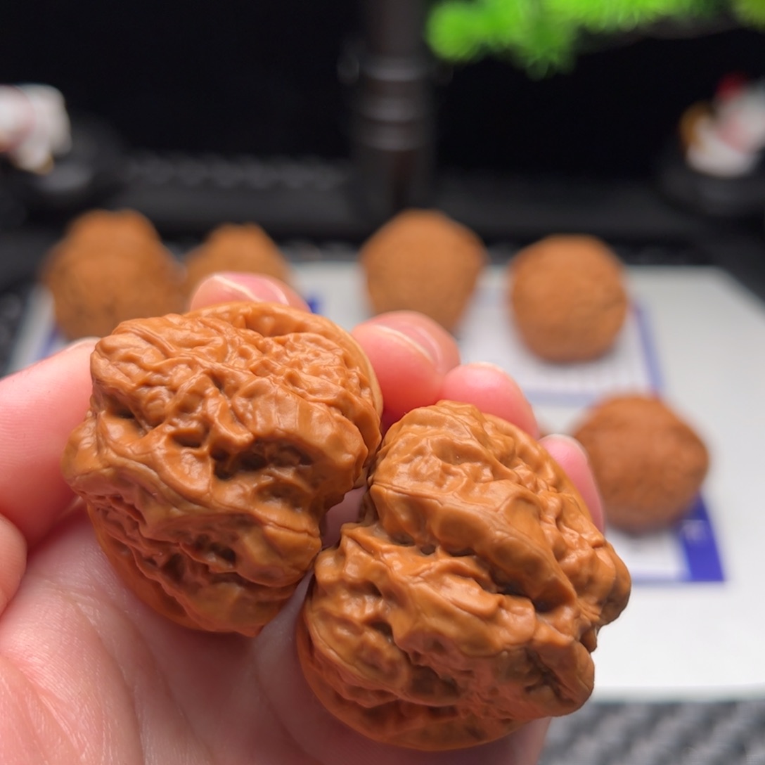 文玩核桃把件41蛤蟆