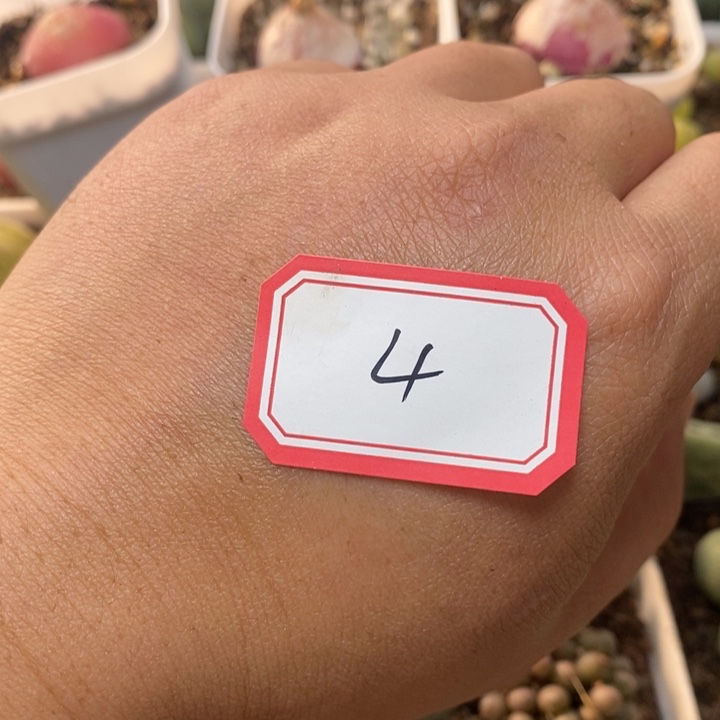 美***生56569999999999999999988888