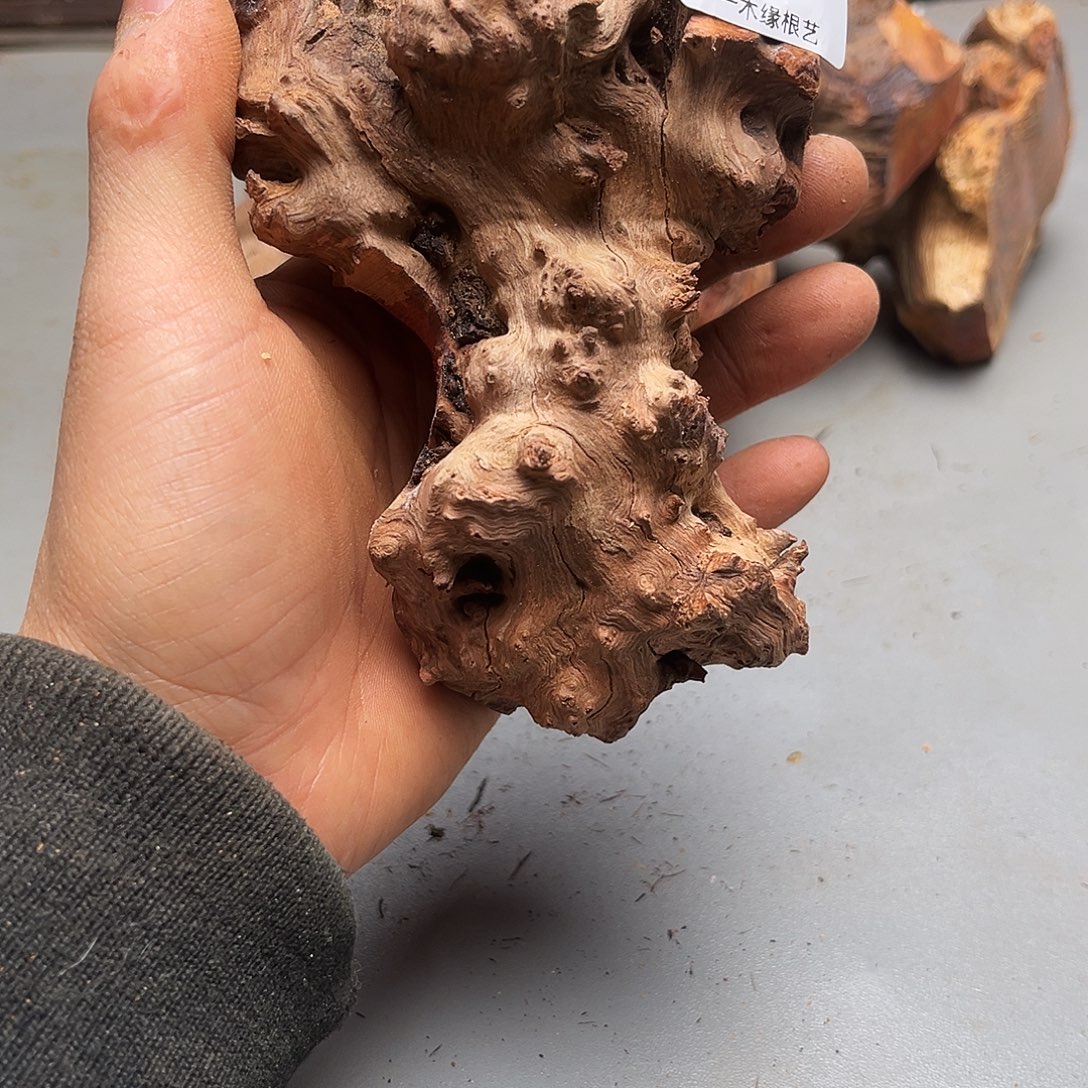 碧***美无花朵           194