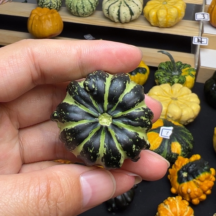 霸**舅福利福利福利福利