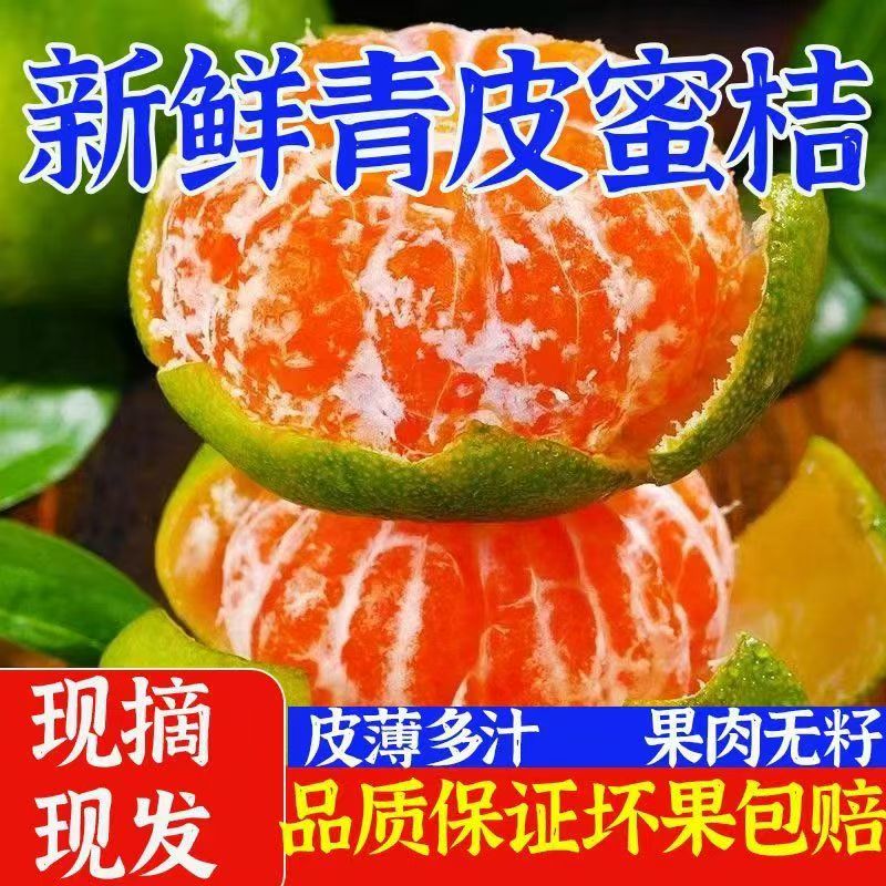 现摘蜜桔四川青皮蜜橘薄皮无籽橘子当季孕妇新鲜柑橘水果酸甜桔子