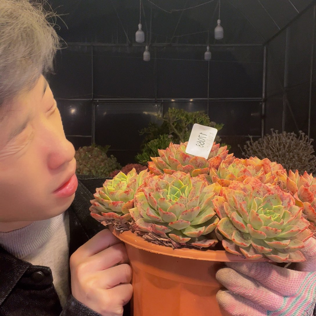 哇***咔17068。    钻石贝拉