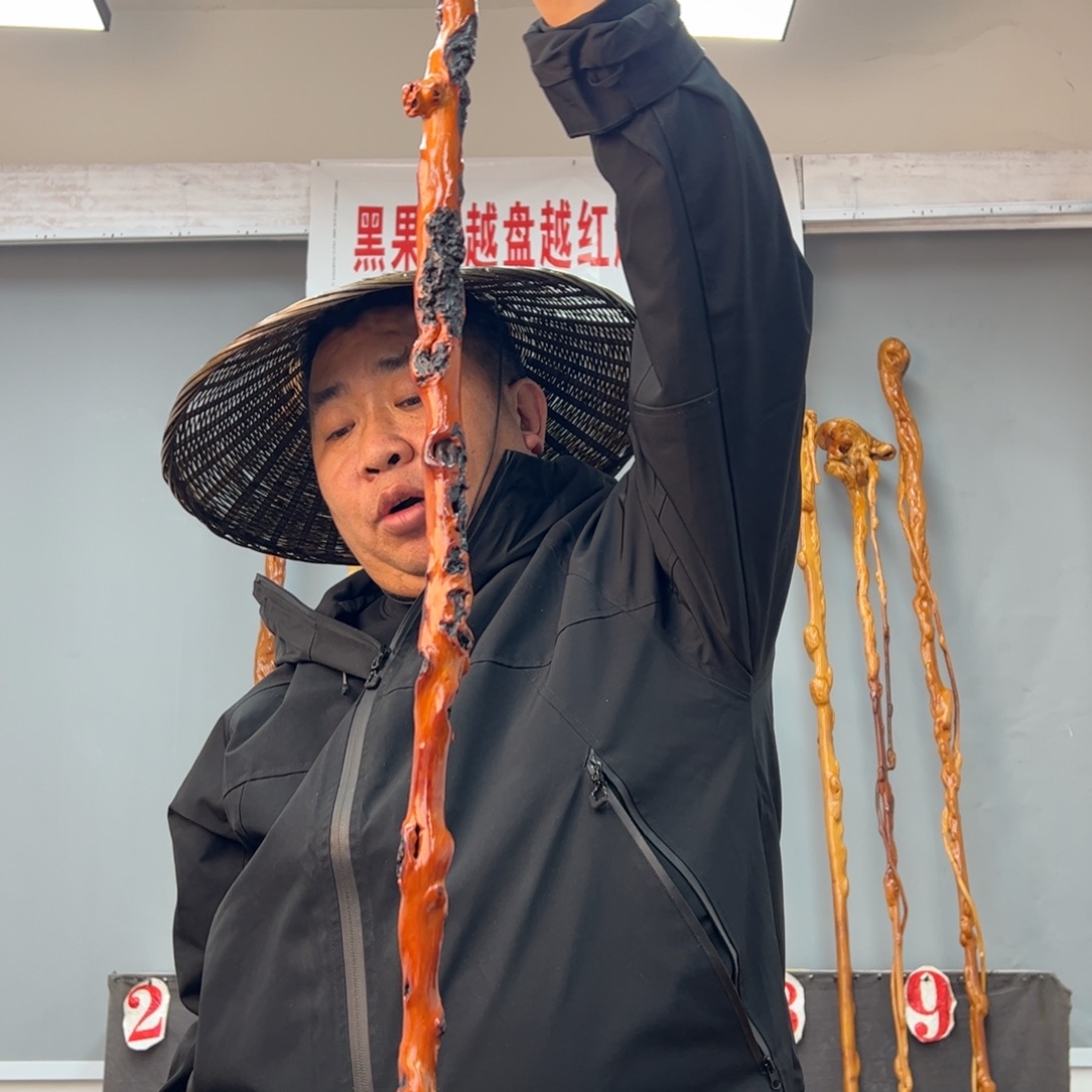 黑果木其他用****0黑果木887