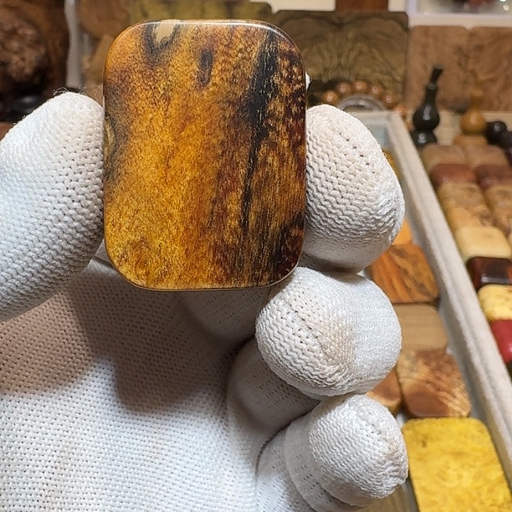 齐***添木木木木木木木木木木木木