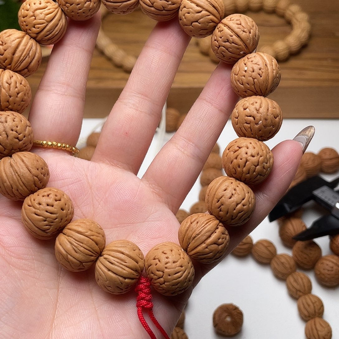 小***。17加野生灯笼滴溜圆矮2