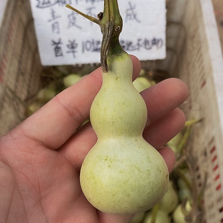 建*哈哈哈哈哈哈哈哈哈