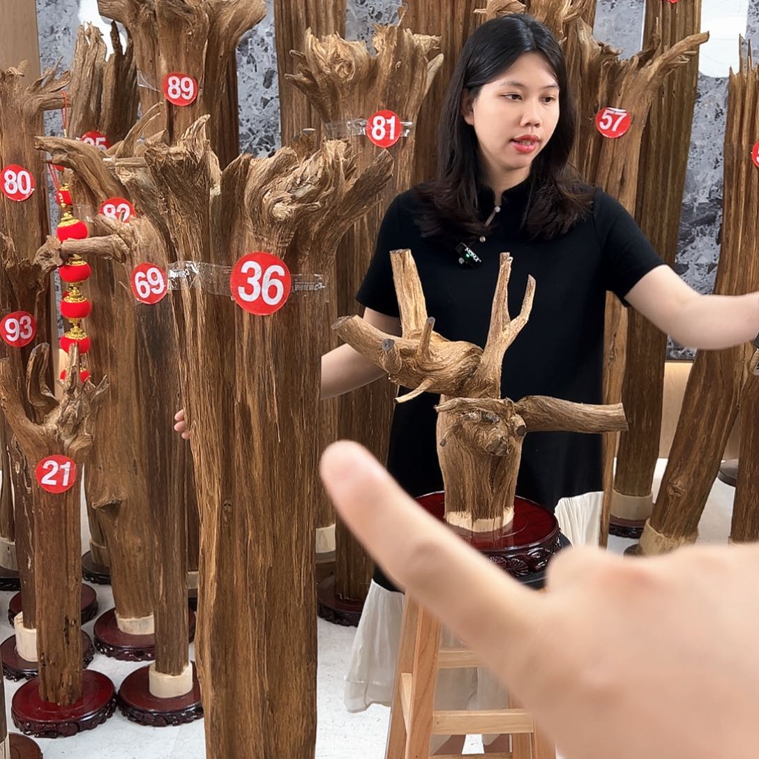 永***康沉香沉香碎屑天然沉香