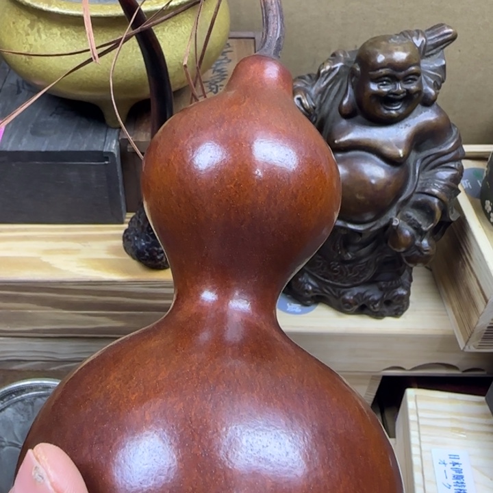 棉麻逃避哈哈哈哈哈哈哈哈