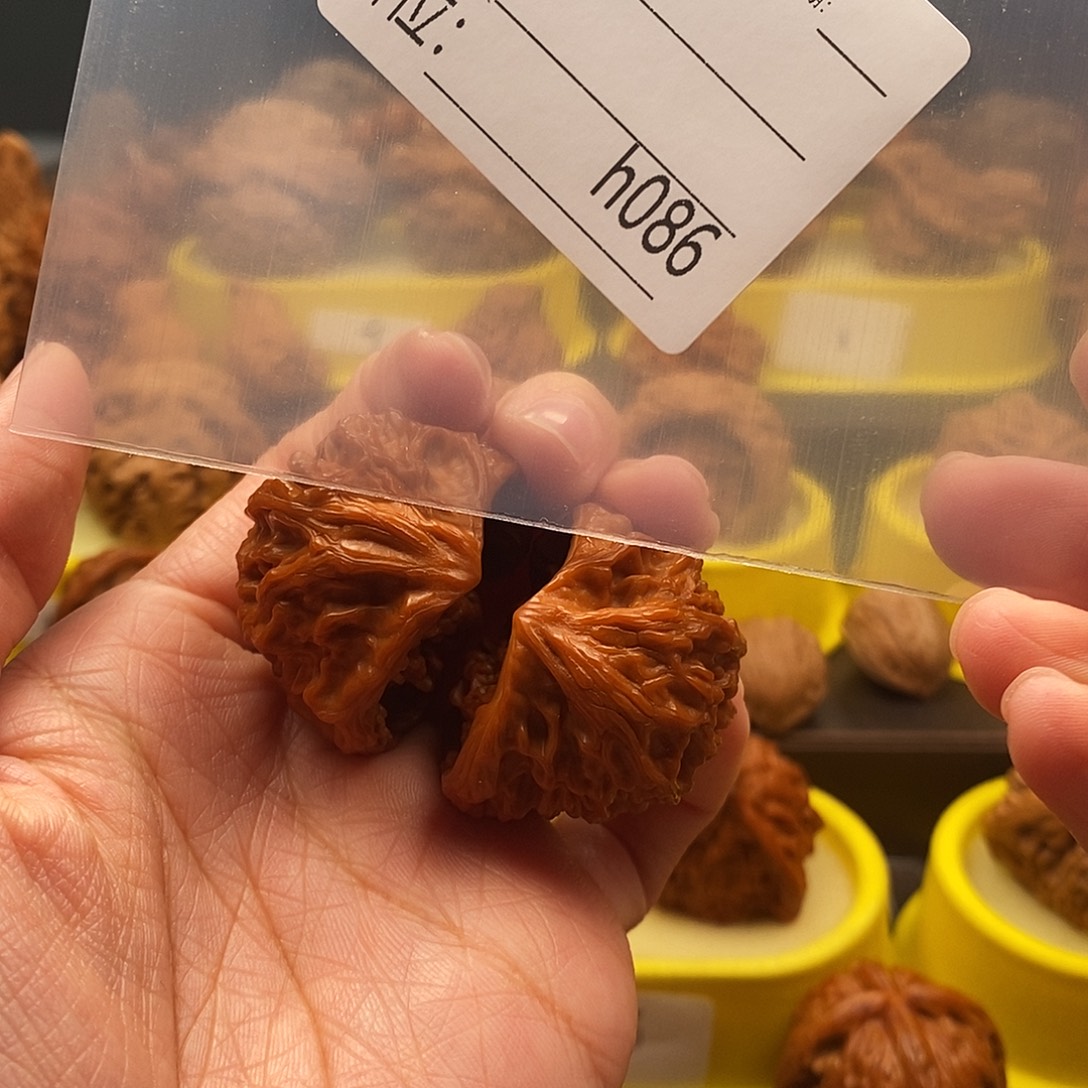 兰***梦大叶紫檀（黑酸枝木类）蛇头